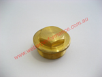 Brass Plug (40 IDA 3C Weber)